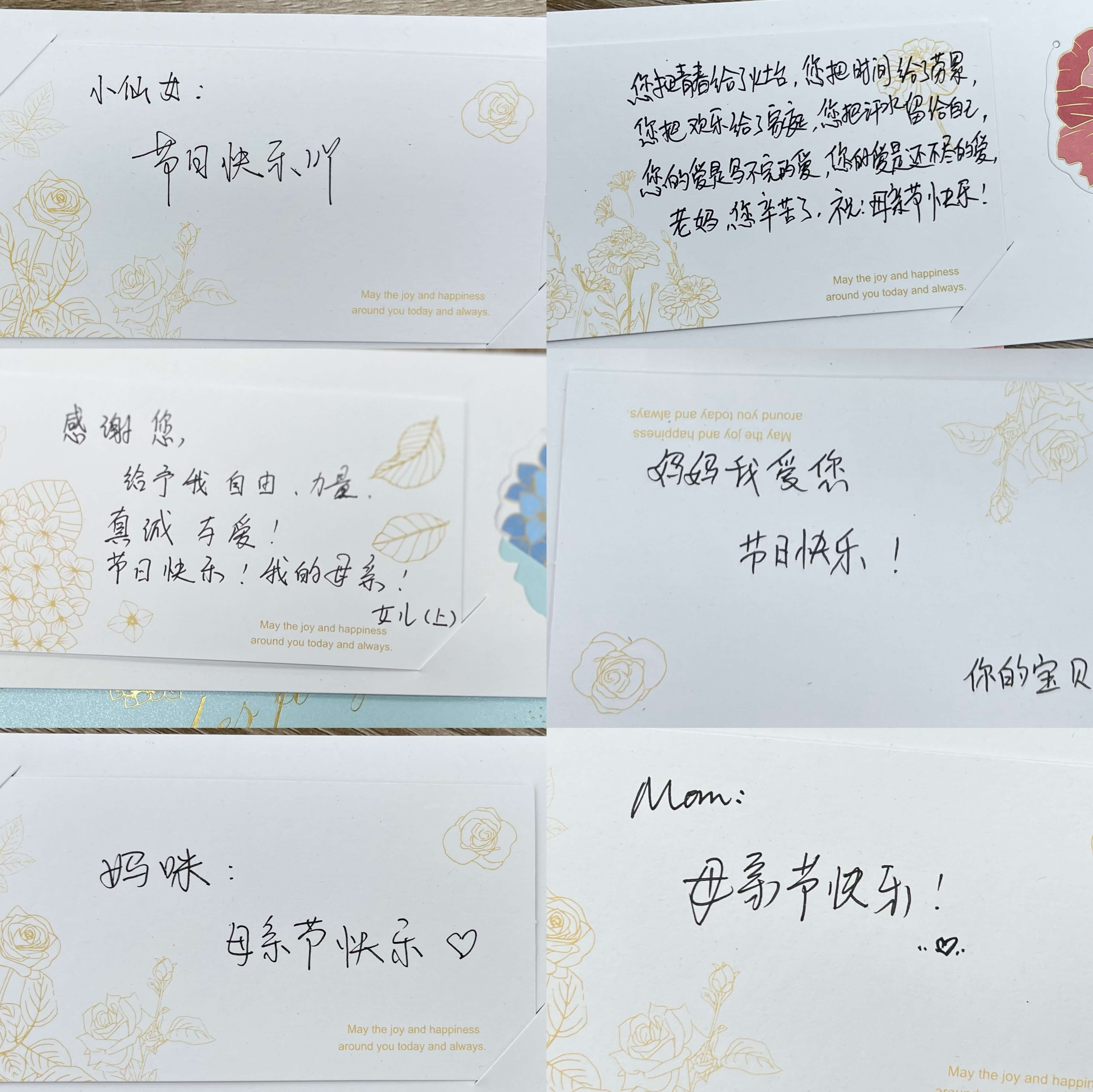 猫九酱sakura菠萝社12