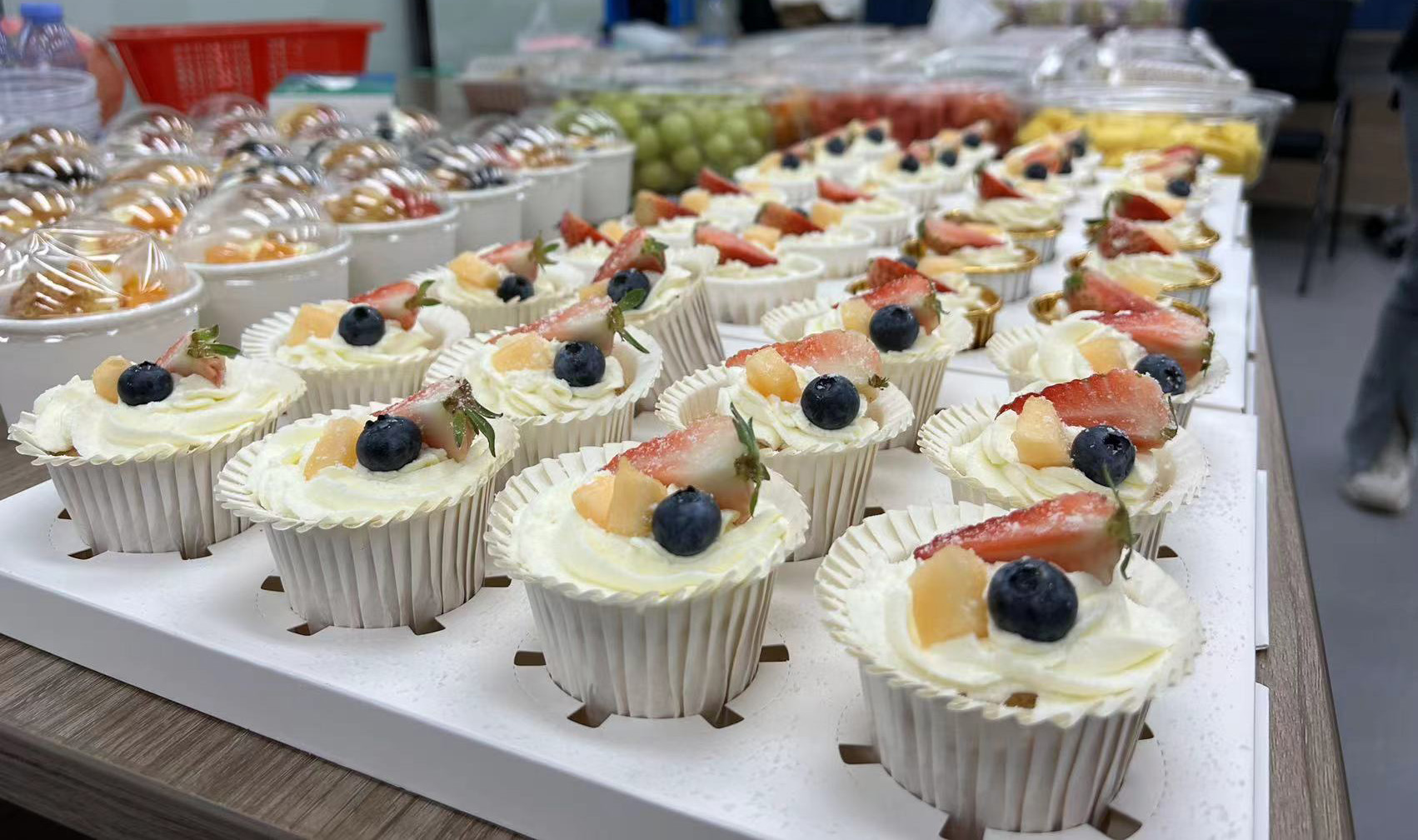 猫九酱sakura菠萝社12