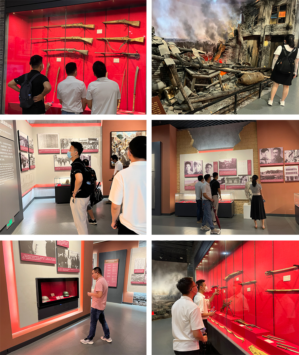 猫九酱sakura菠萝社12