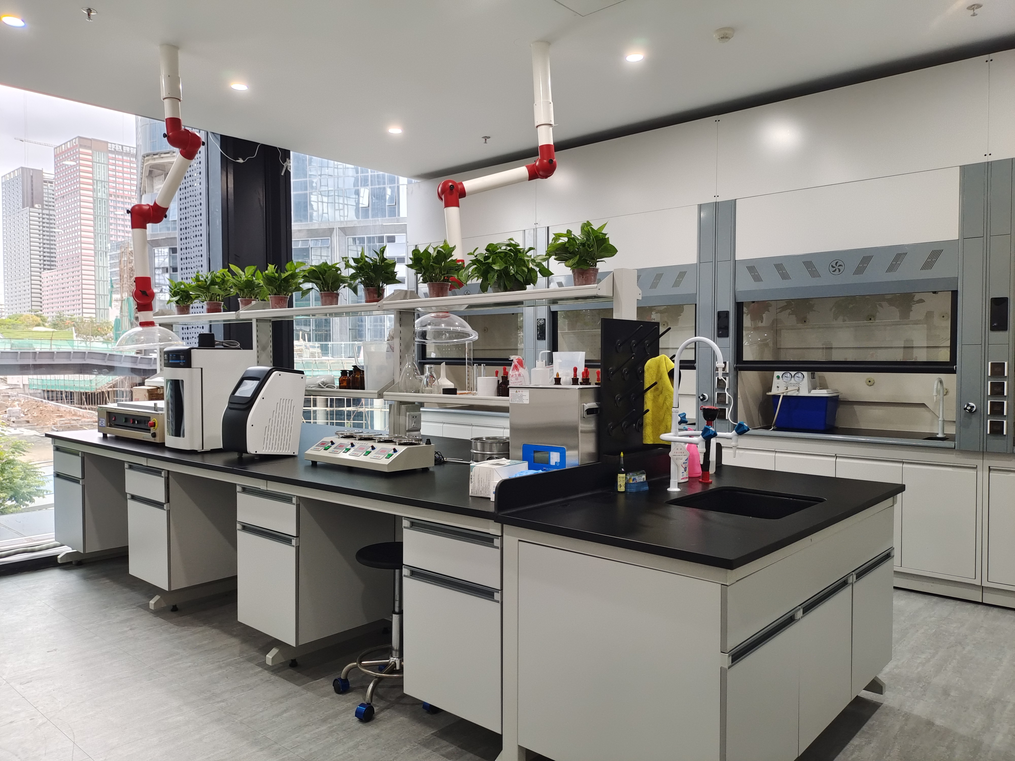 猫九酱sakura菠萝社12