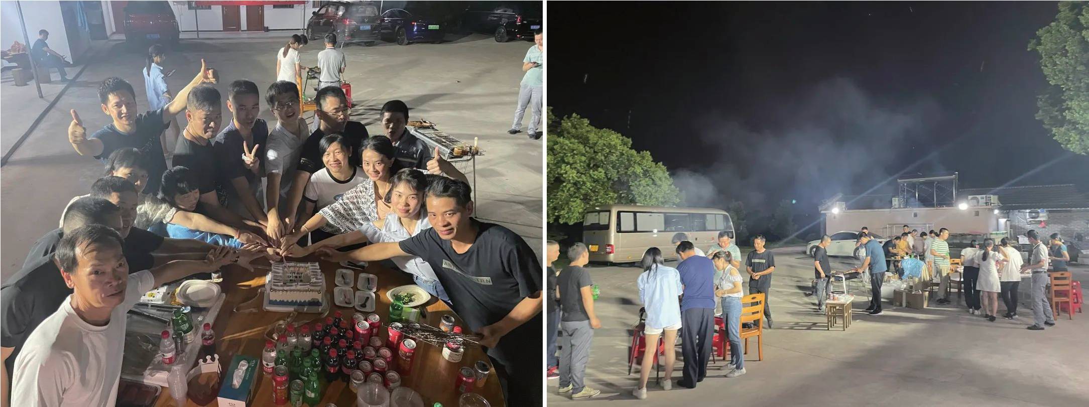 猫九酱sakura菠萝社12