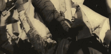 猫九酱sakura菠萝社12