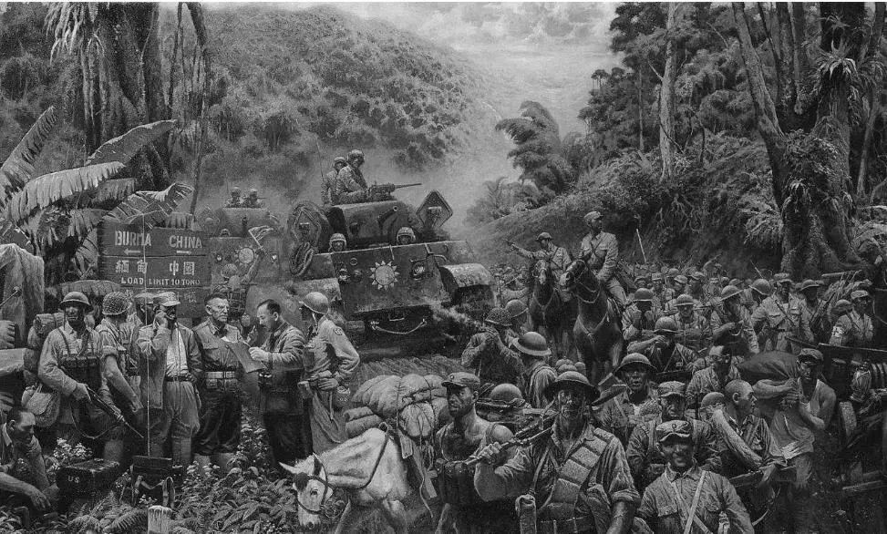 猫九酱sakura菠萝社12