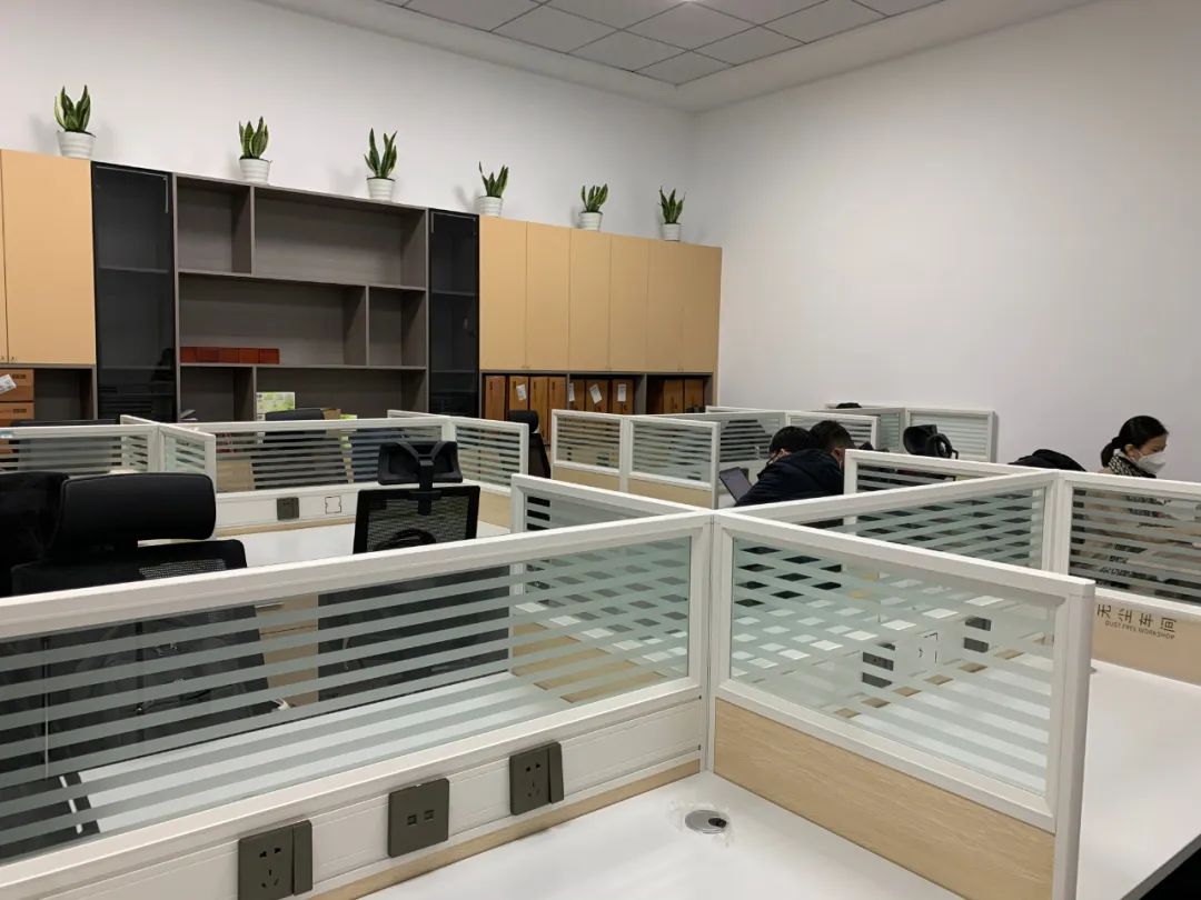 猫九酱sakura菠萝社12