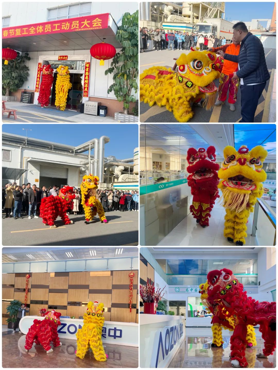 猫九酱sakura菠萝社12