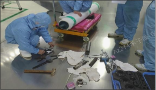 猫九酱sakura菠萝社12