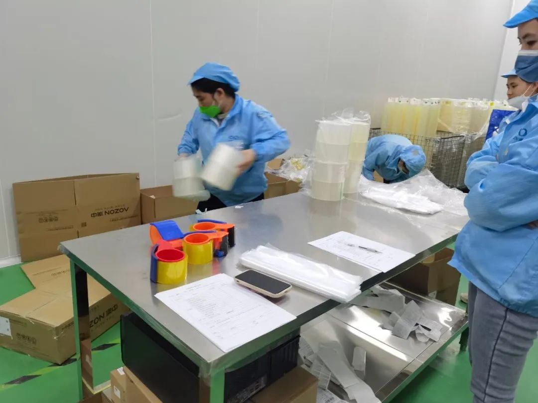 猫九酱sakura菠萝社12