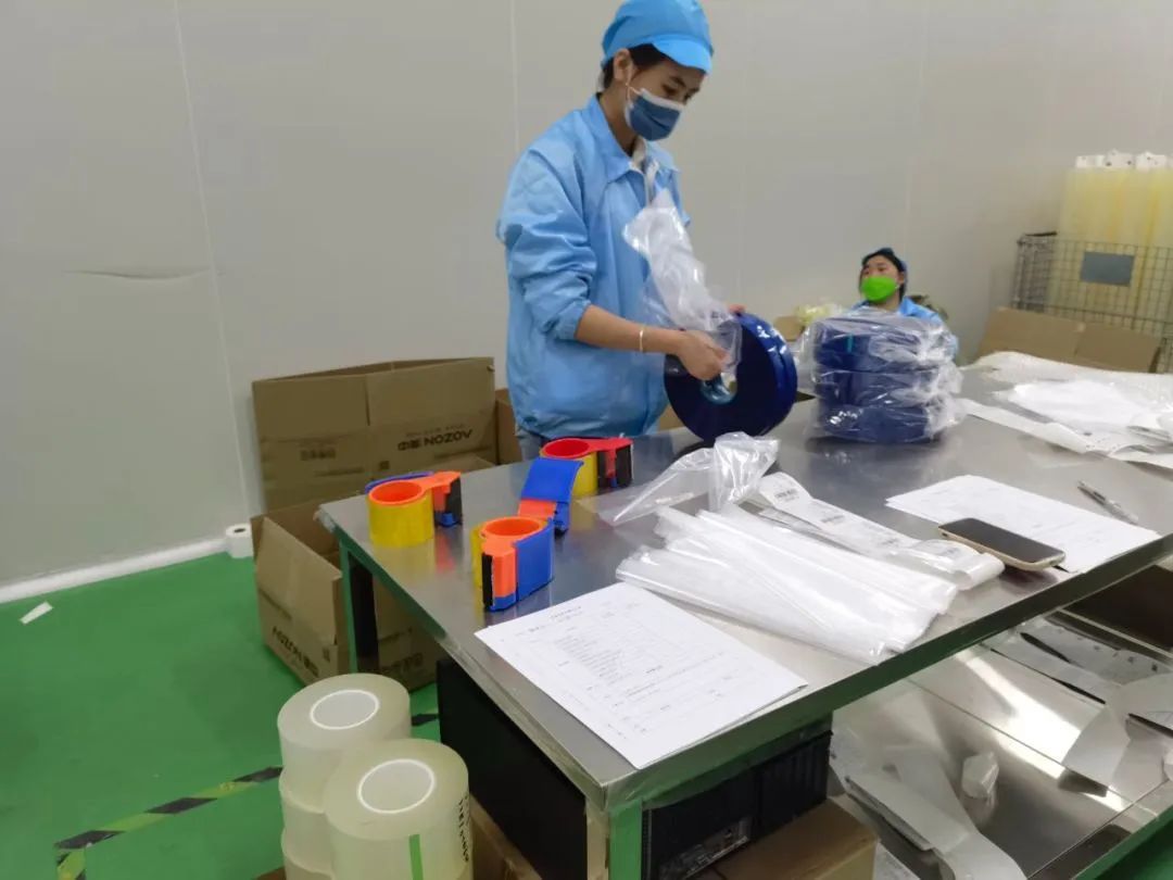 猫九酱sakura菠萝社12