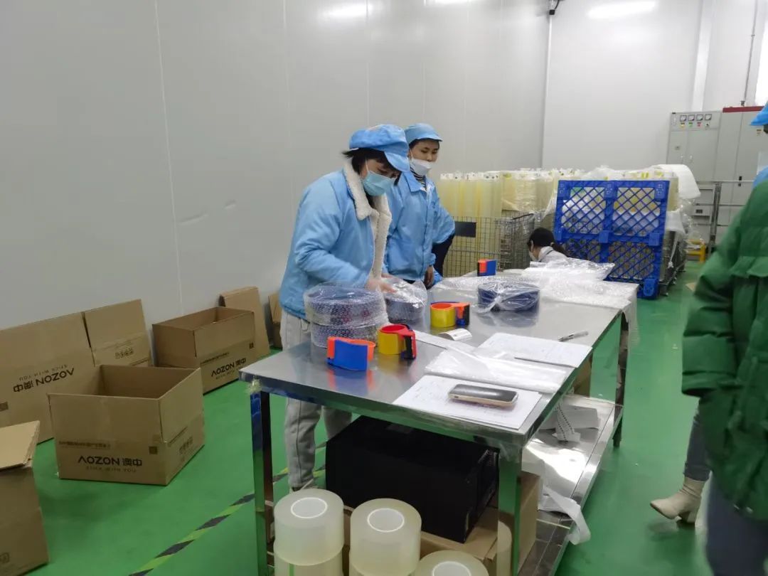 猫九酱sakura菠萝社12