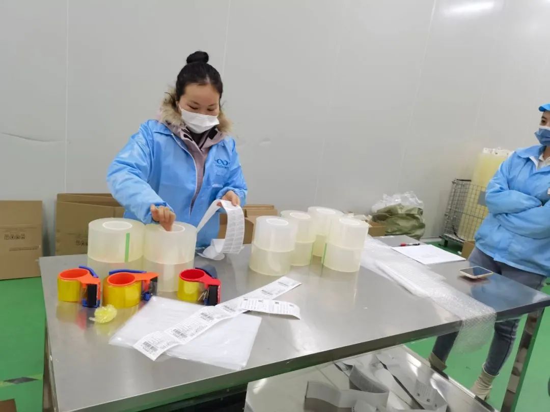 猫九酱sakura菠萝社12