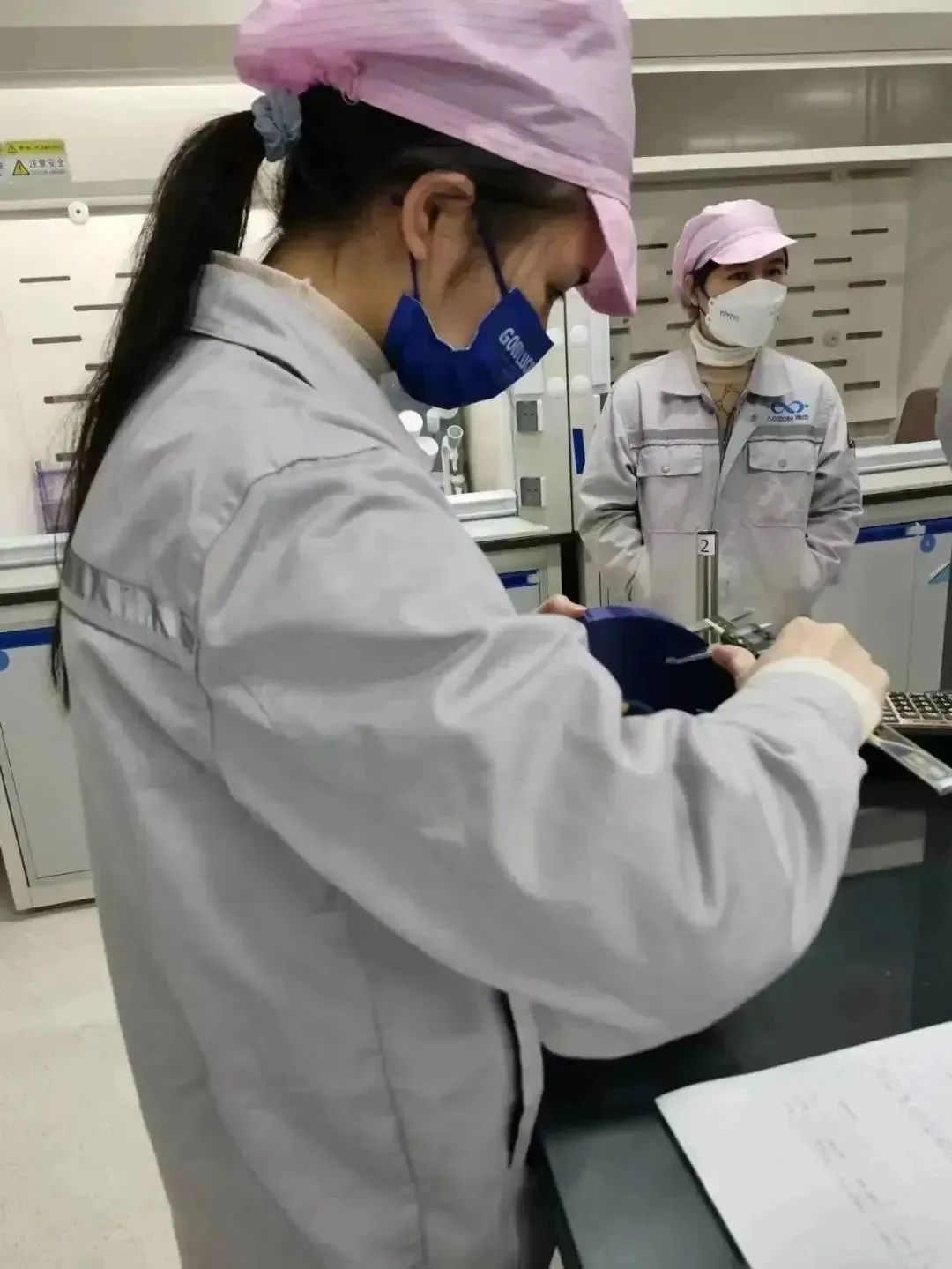 猫九酱sakura菠萝社12