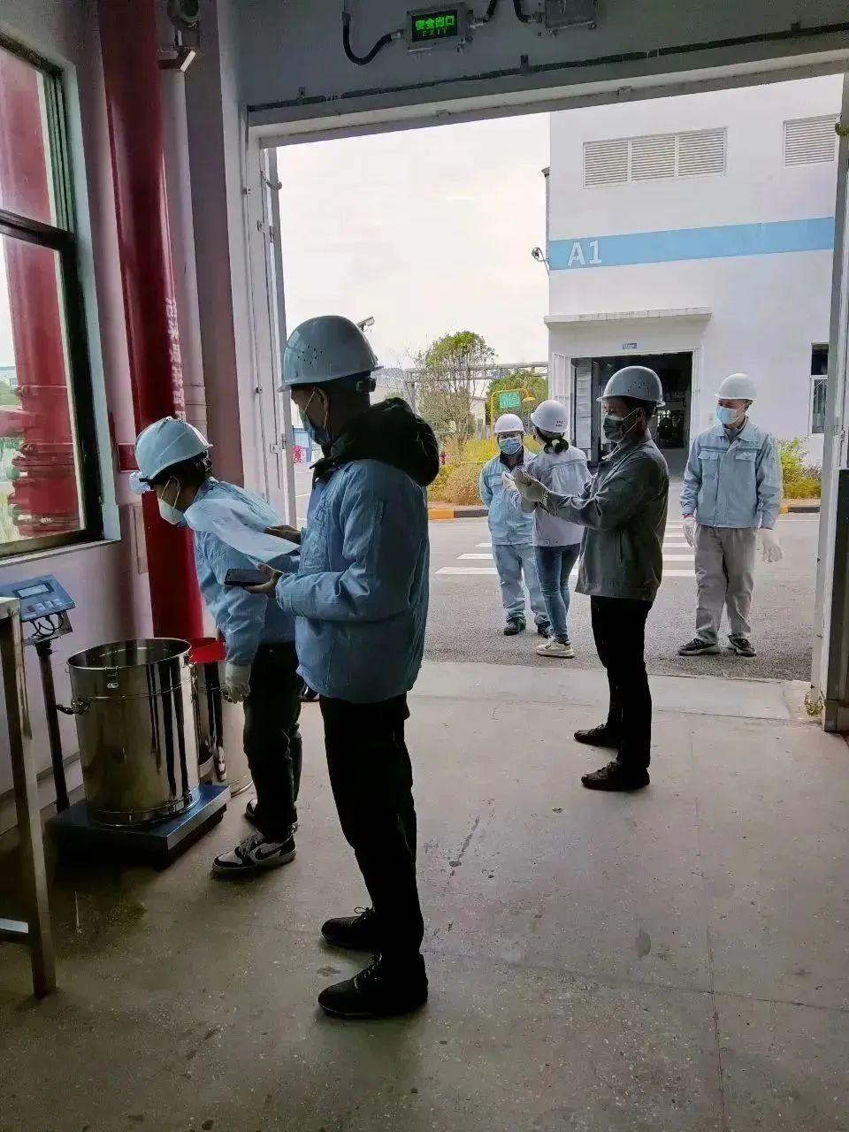 猫九酱sakura菠萝社12