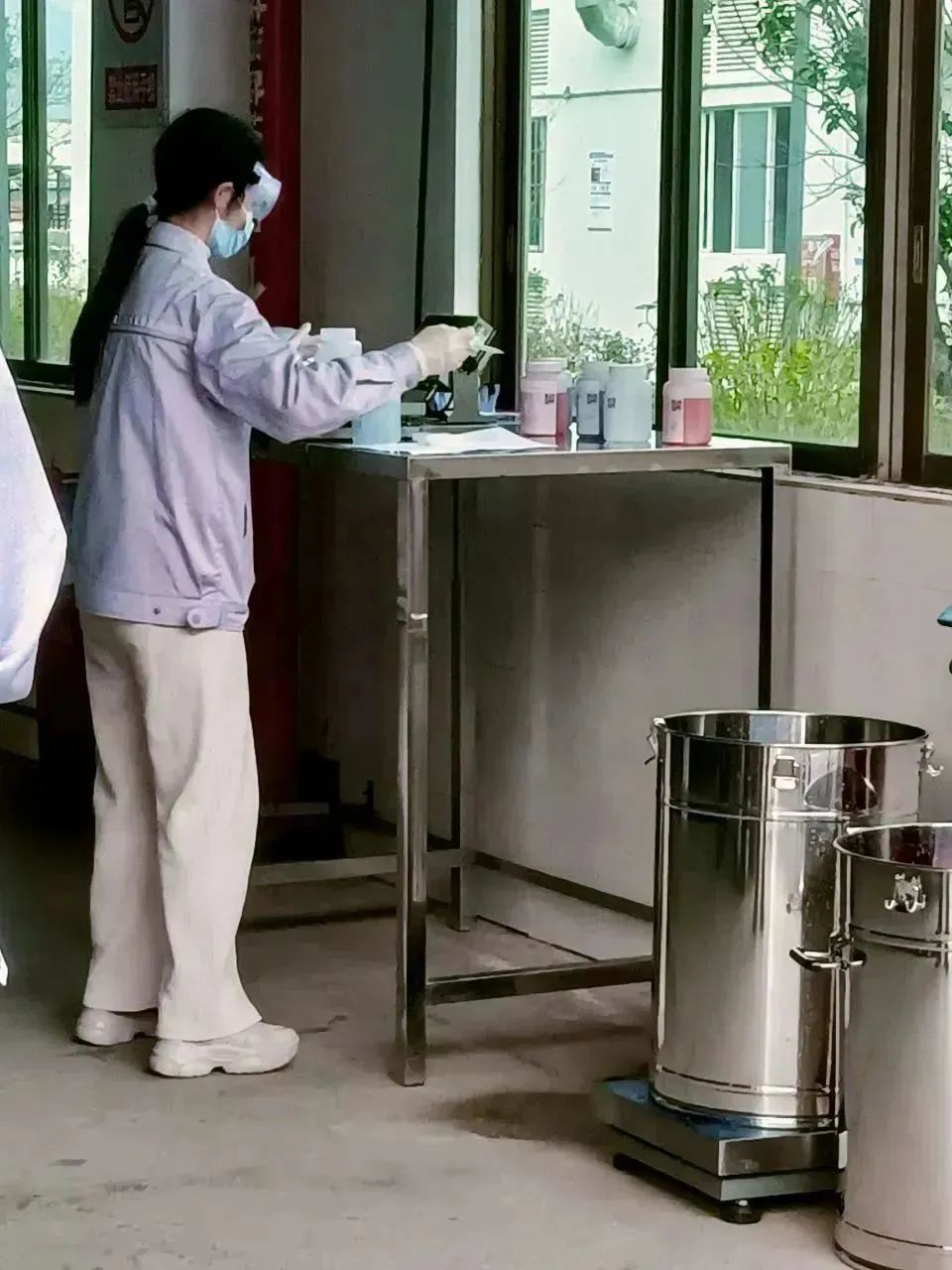 猫九酱sakura菠萝社12