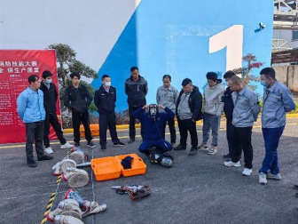 猫九酱sakura菠萝社12