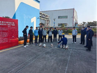 猫九酱sakura菠萝社12