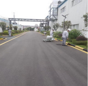 猫九酱sakura菠萝社12