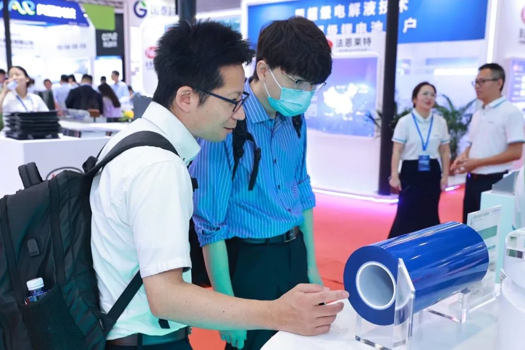 猫九酱sakura菠萝社12