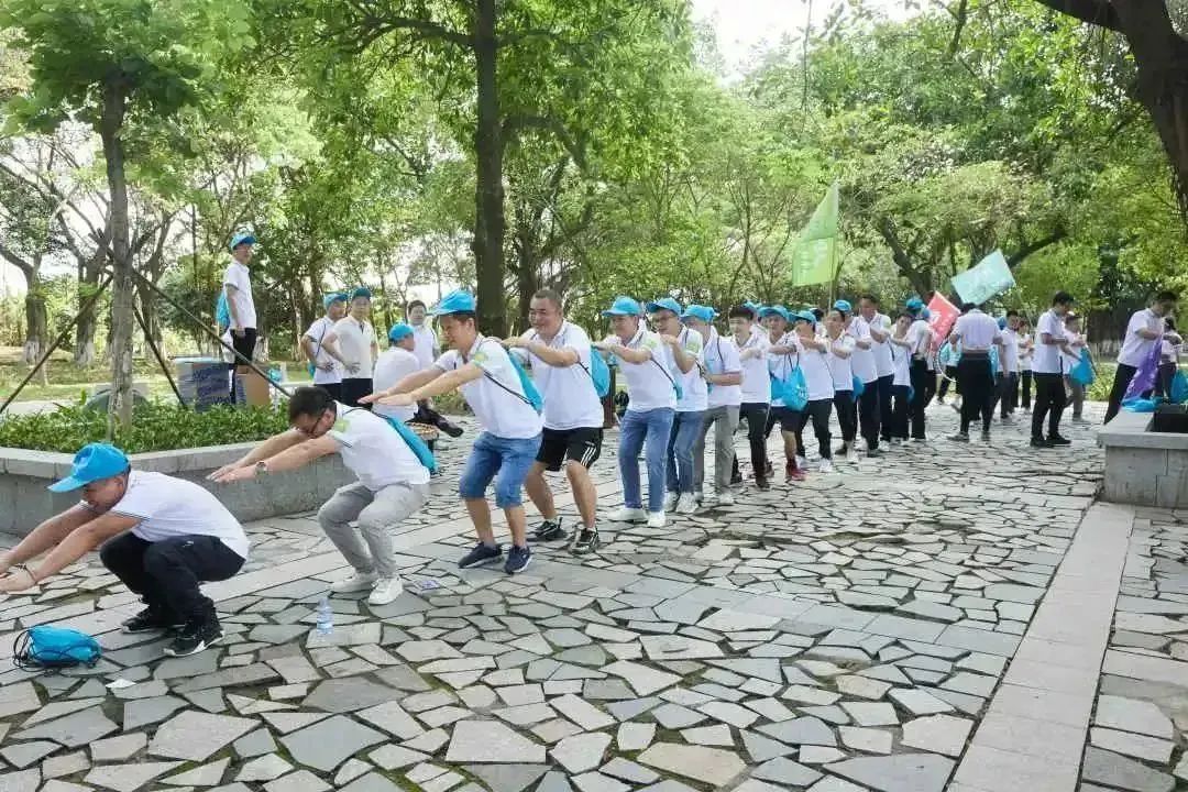 猫九酱sakura菠萝社12