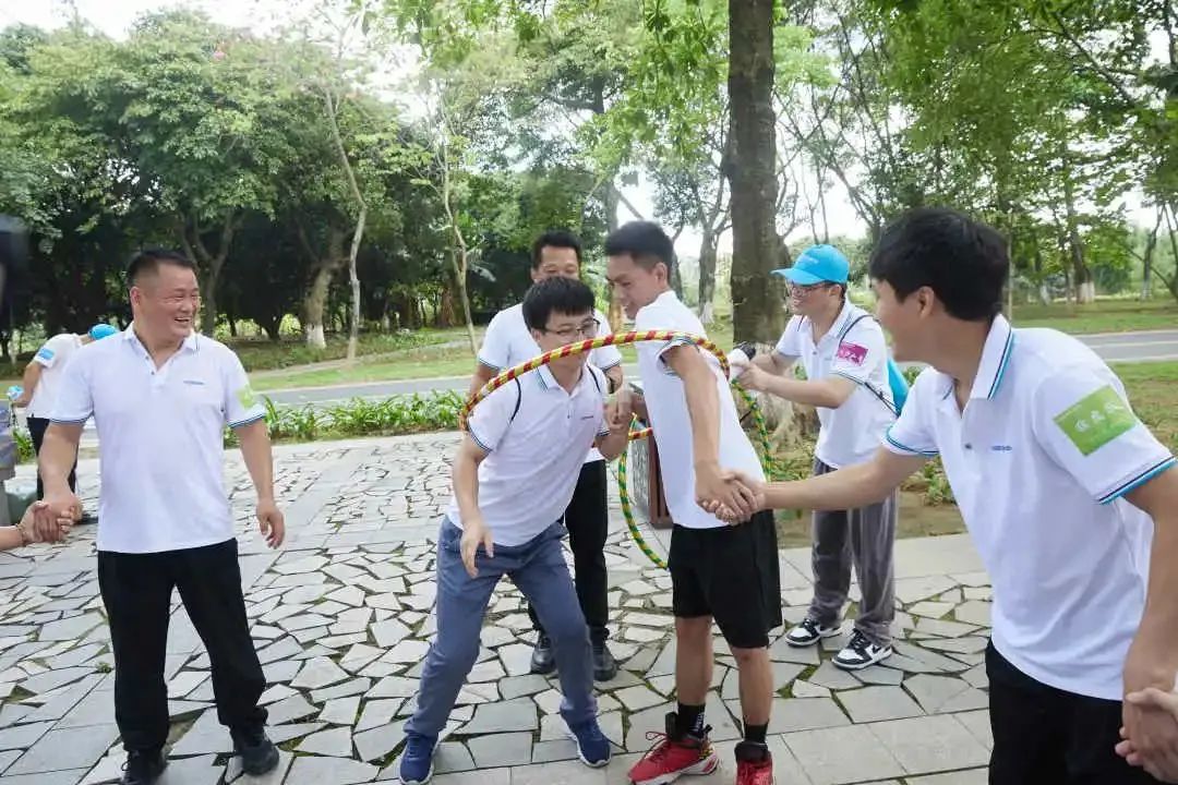 猫九酱sakura菠萝社12