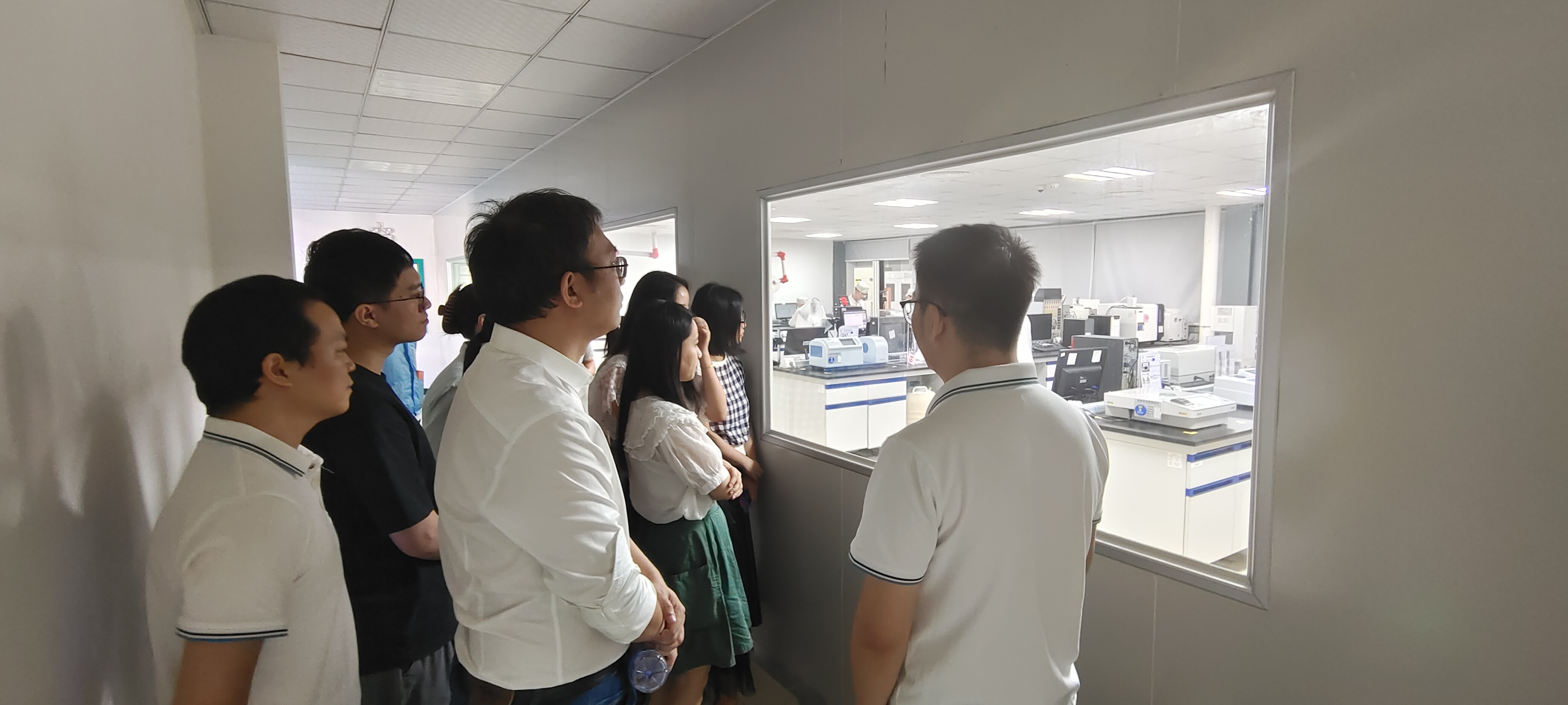 猫九酱sakura菠萝社12