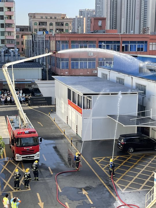 猫九酱sakura菠萝社12