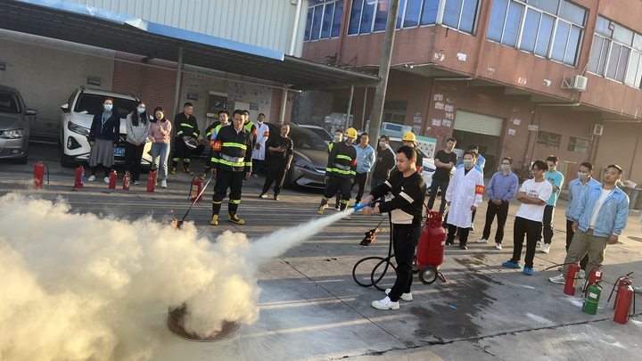 猫九酱sakura菠萝社12