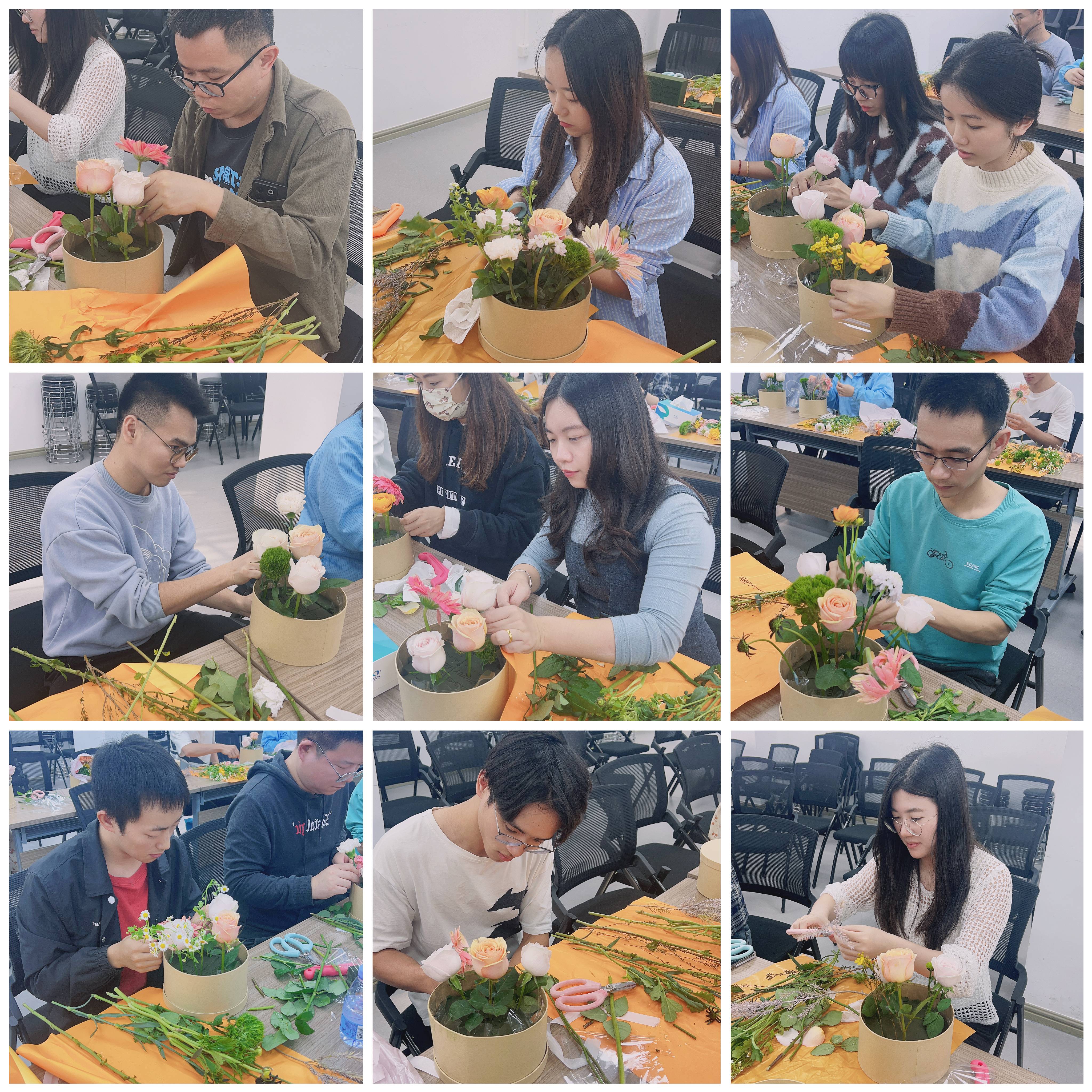 猫九酱sakura菠萝社12