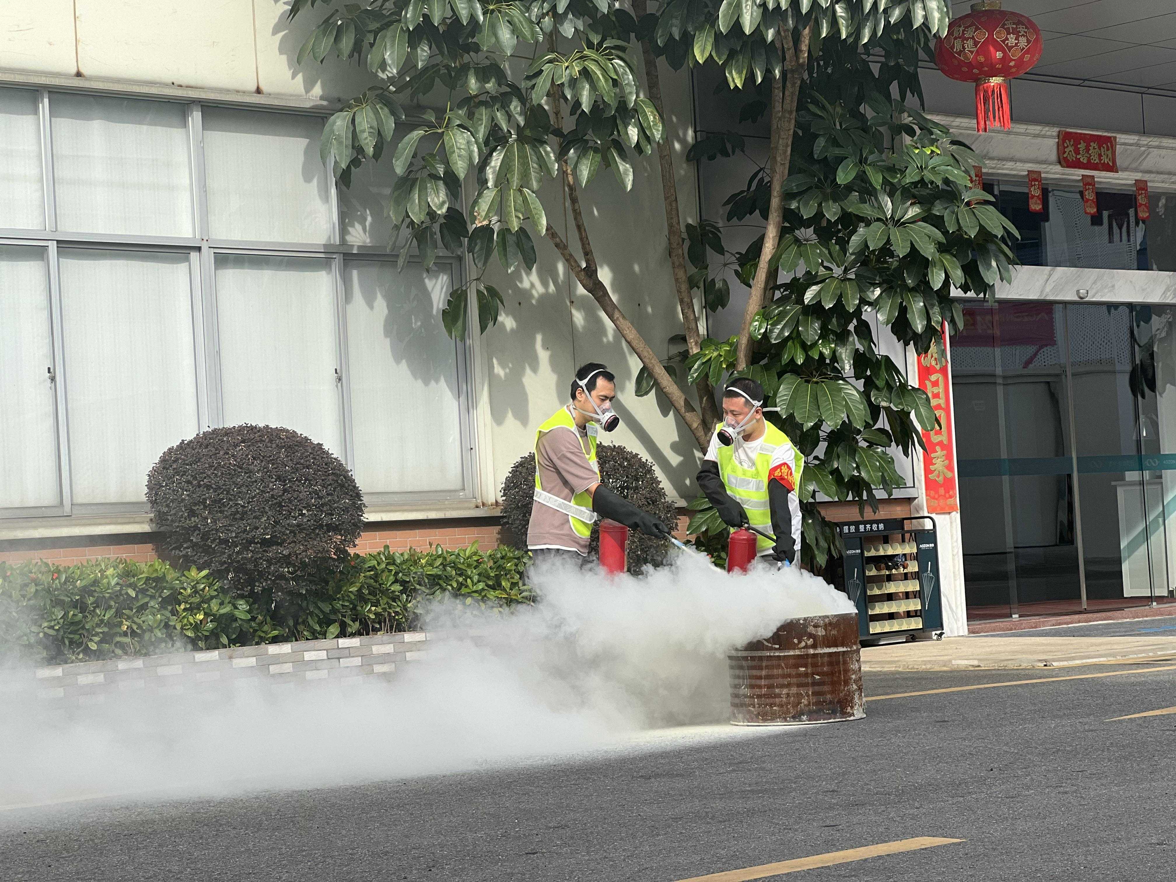 猫九酱sakura菠萝社12