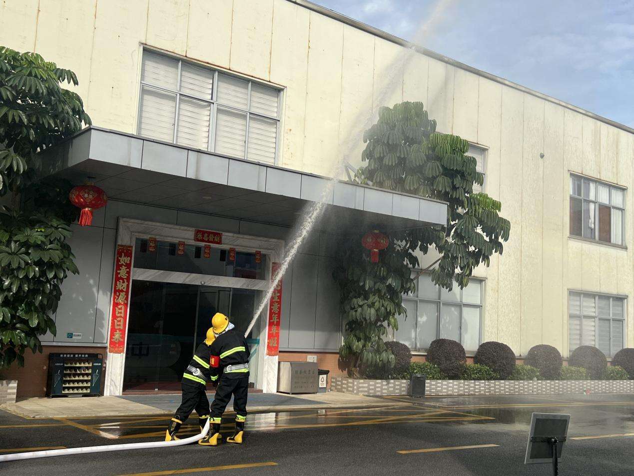 猫九酱sakura菠萝社12