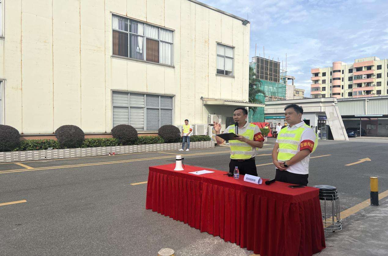 猫九酱sakura菠萝社12