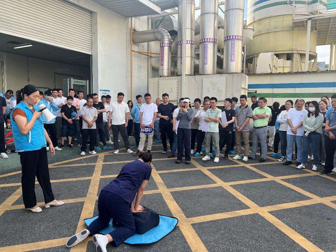 猫九酱sakura菠萝社12