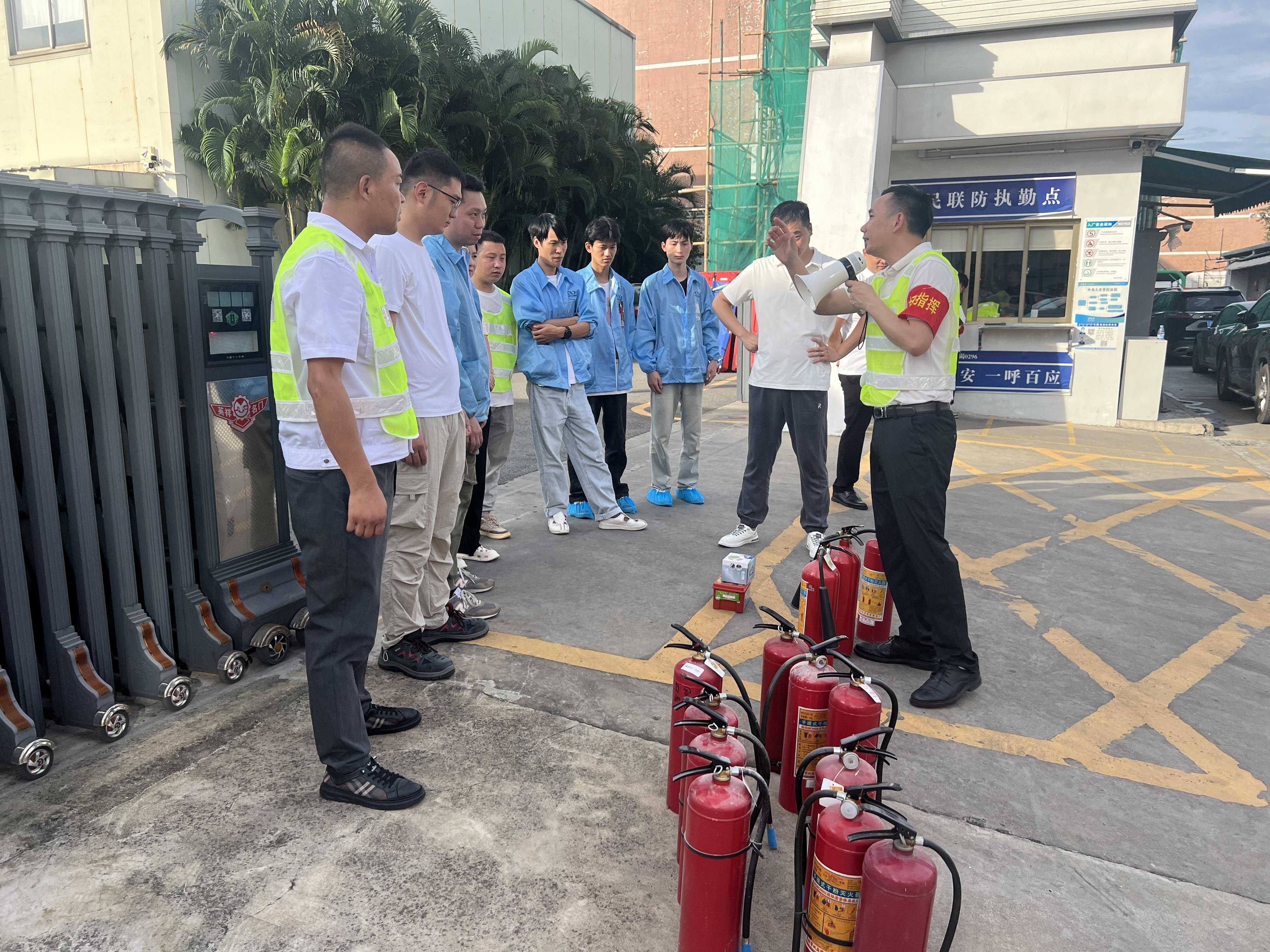 猫九酱sakura菠萝社12