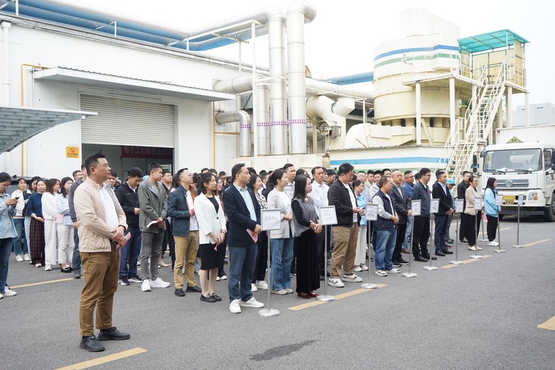 猫九酱sakura菠萝社12