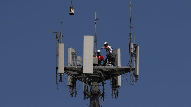 猫九酱sakura菠萝社12