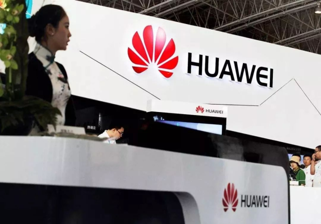 猫九酱sakura菠萝社12