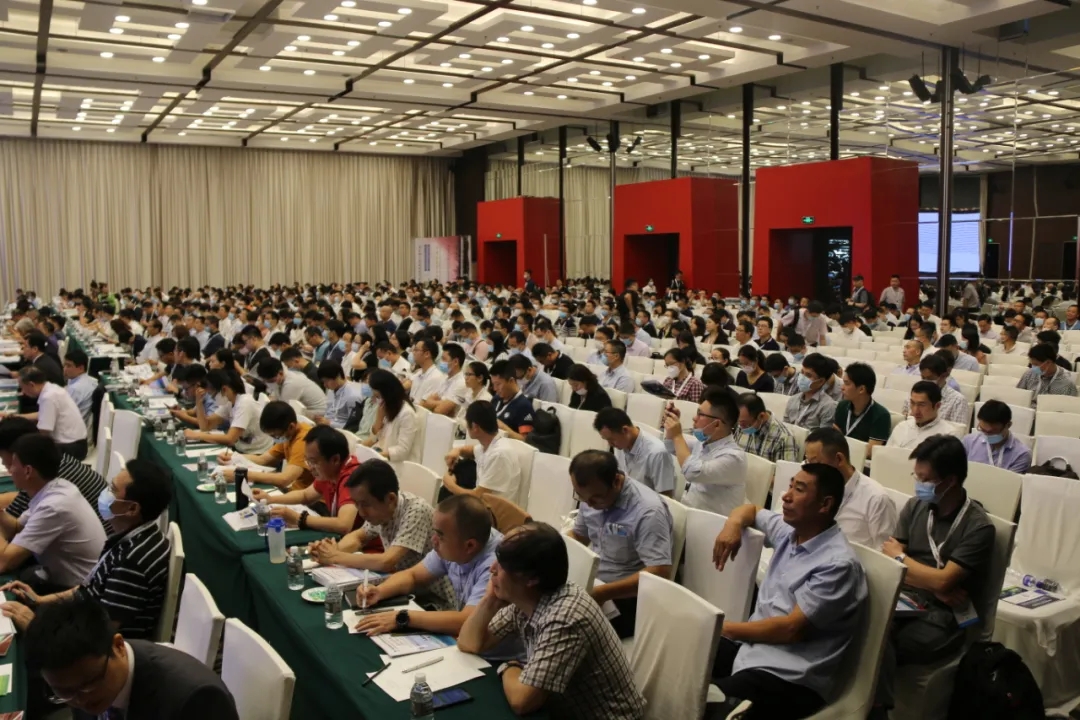 猫九酱sakura菠萝社12